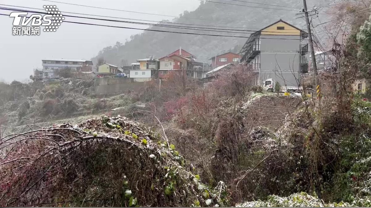 新年首波寒流，新竹泰崗部落下雪。（圖／TVBS）