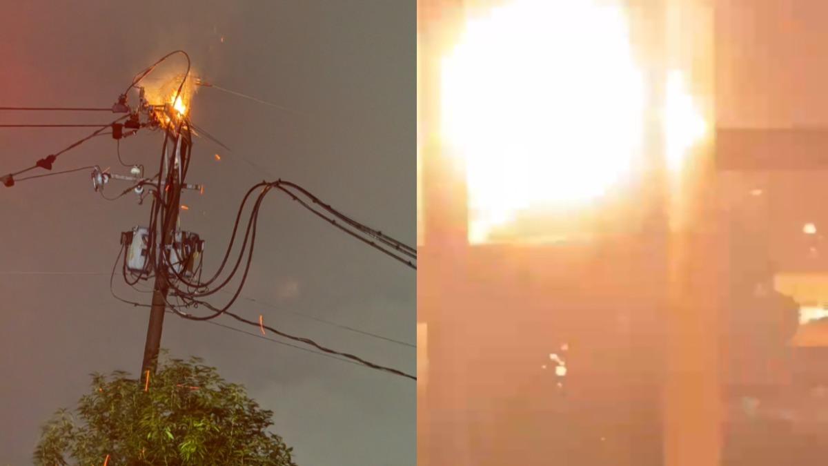 鳥類築巢釀禍!新北電線桿突爆炸起火 1992戶慘跳電