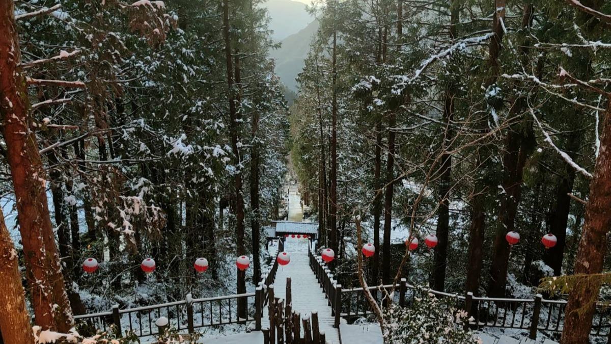 多圖/寒流低溫急凍!太平山迎「絕美雪景」 -2℃直擊銀白世界