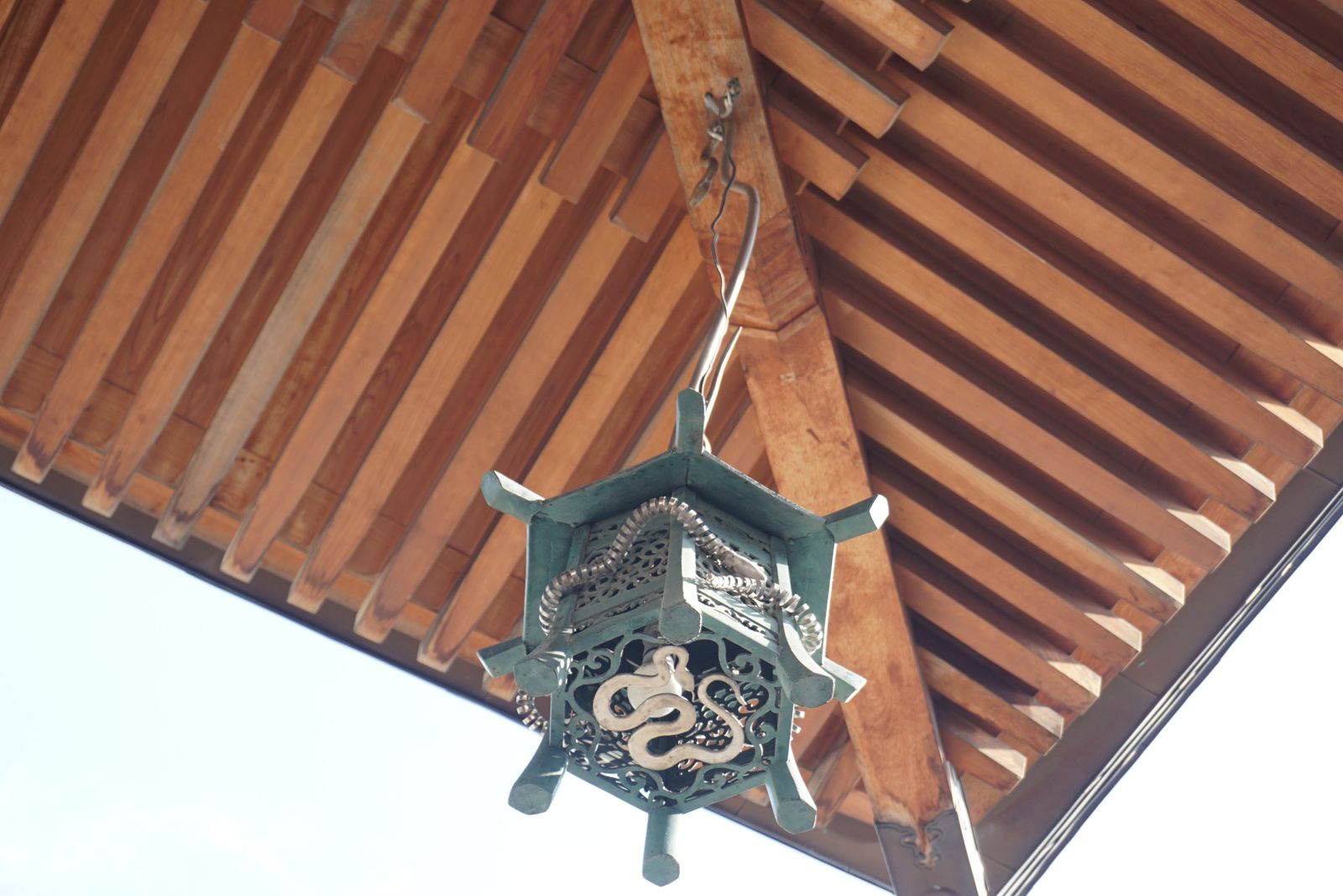 抬頭也能看到白蛇。(翻攝岩國白蛇神社X)