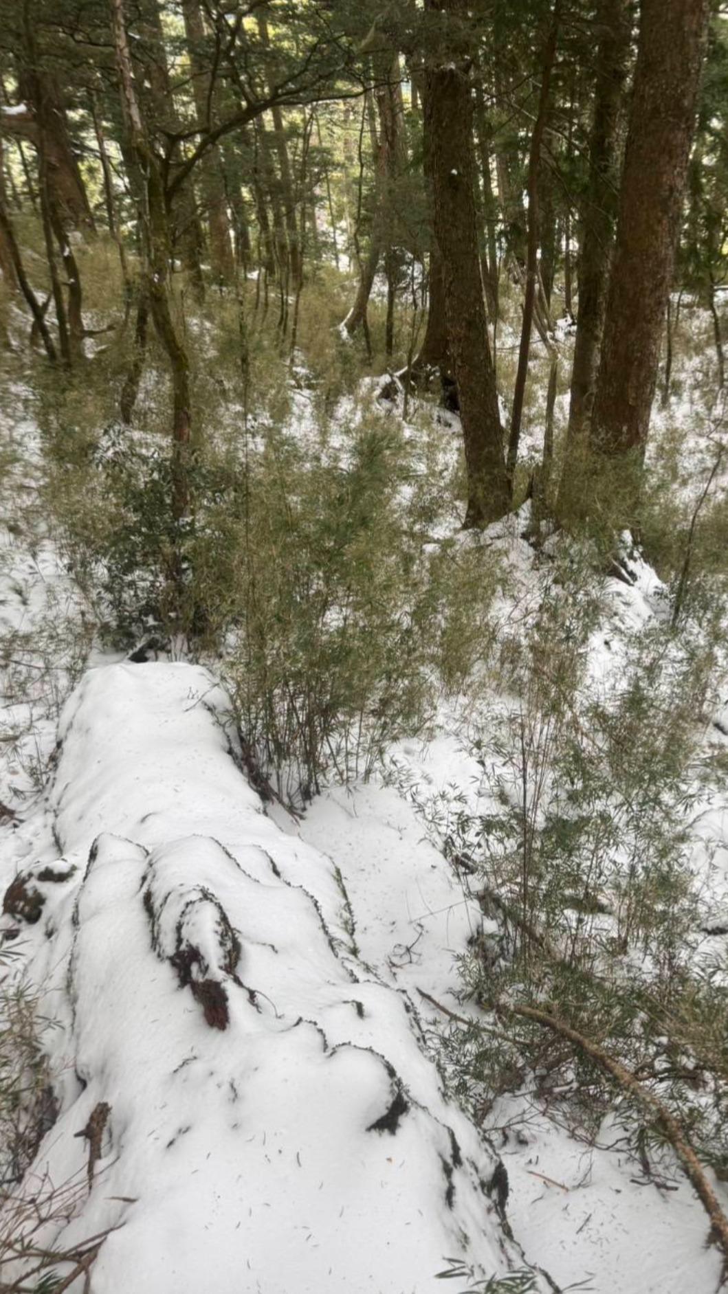 山上積雪,救援增難度。(圖/截自劉崑耀臉書)