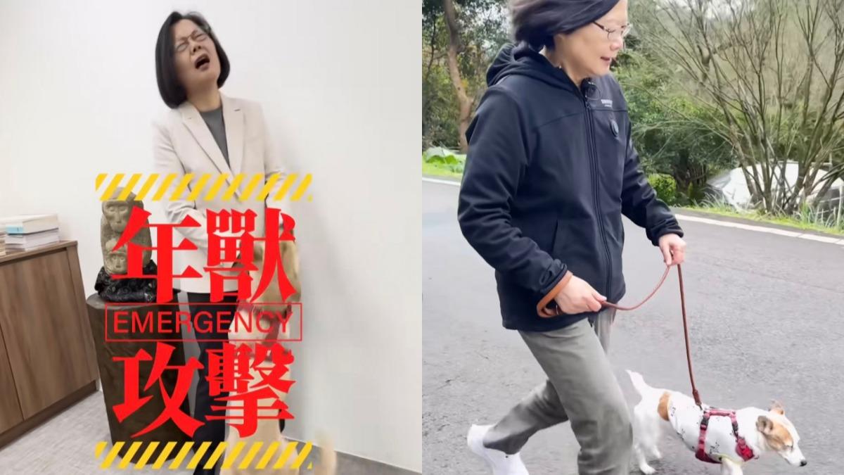 蔡英文初三攜愛犬走春遭「年獸攻擊」 蕭美琴直呼:好羨慕