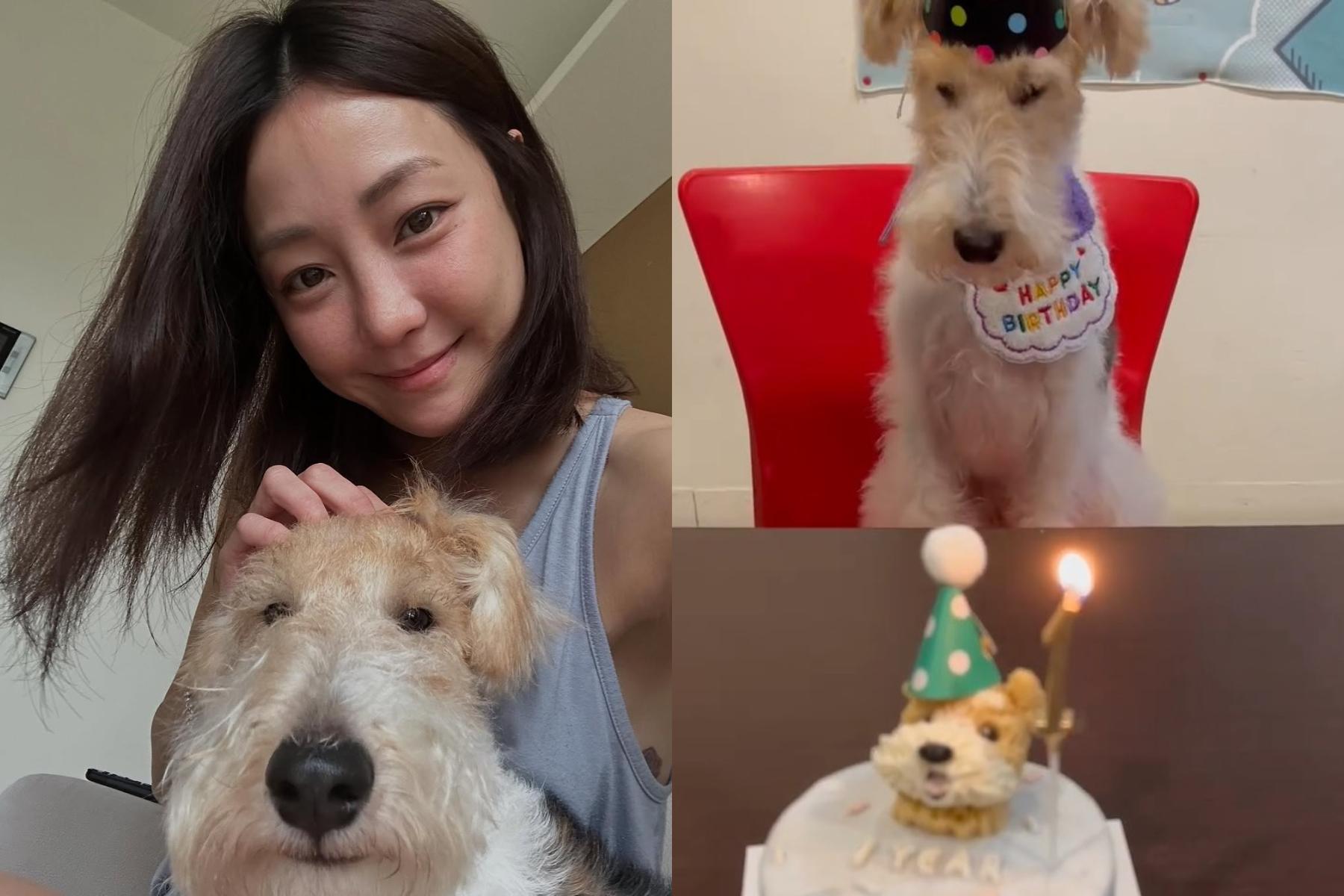 謝欣穎替愛犬慶生。(圖/翻攝自謝欣穎IG)