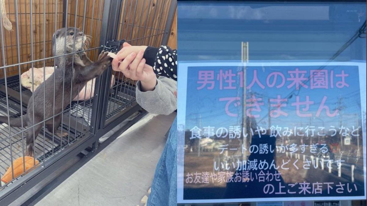 日動物園禁「男性單獨入內」挨轟歧視 女園長無奈揭原因