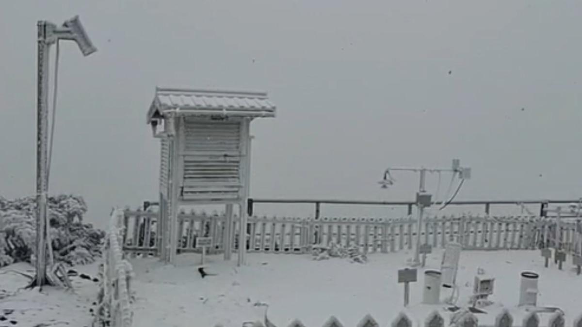 天氣/玉山又下雪!超過1小時「積雪1公分」 絕美銀白畫面曝