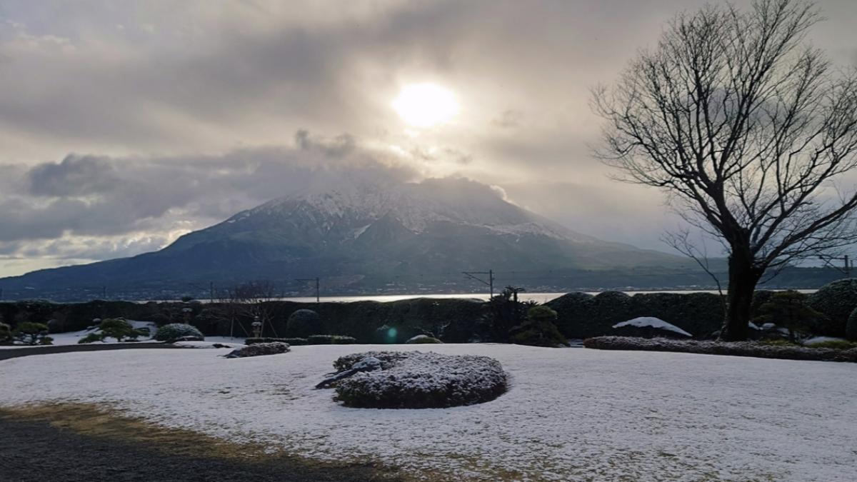 日本南九州鹿兒島縣景點仙巖園也下雪。（圖／翻攝自仙巖園Ｘ）