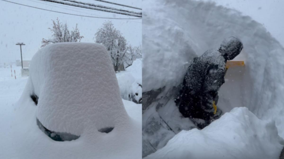 北海道破紀錄大雪多誇張?縮時攝影車一夜變雪山 上班陷剷雪地獄