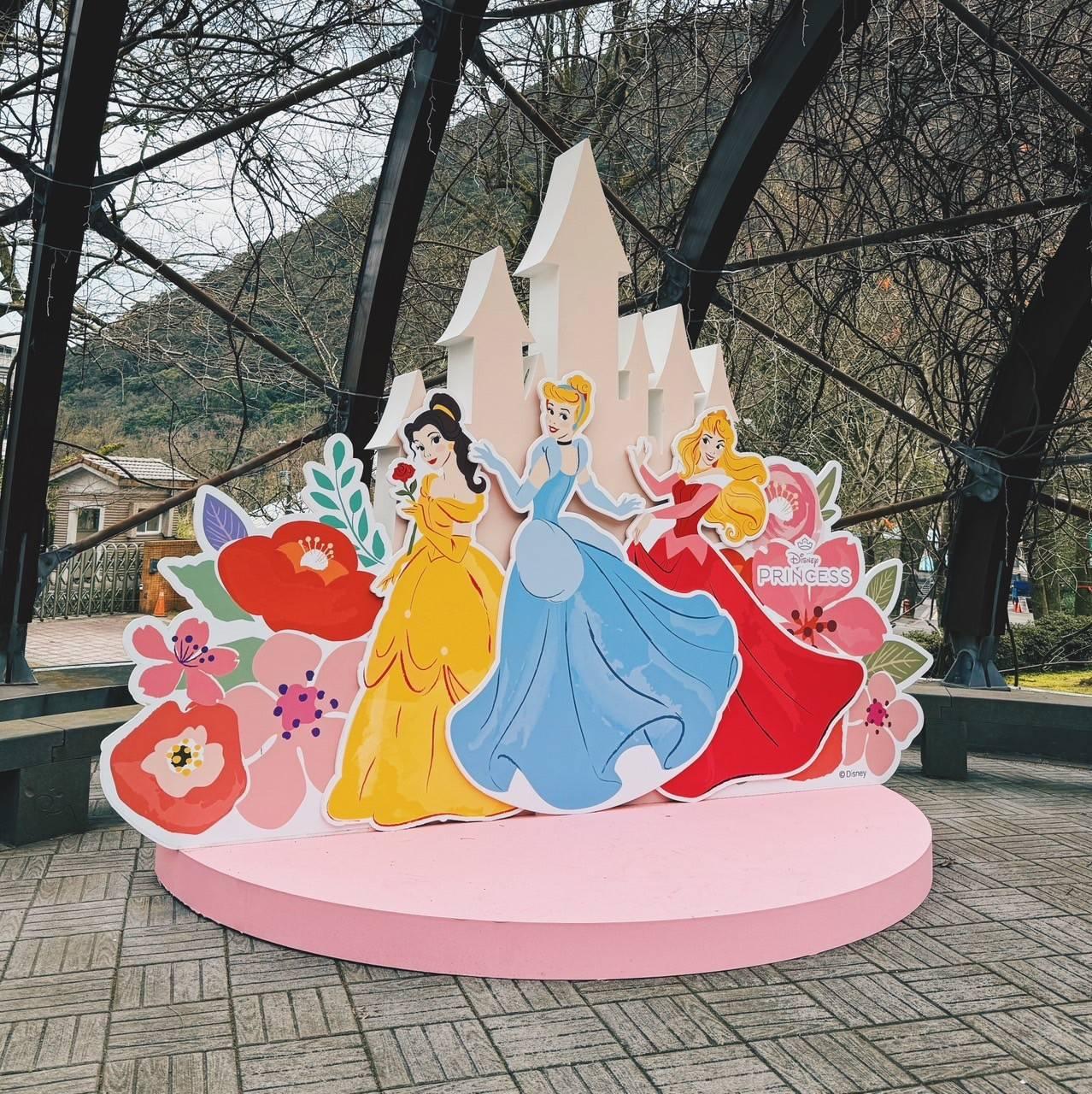 （圖／陽明山花季官網）