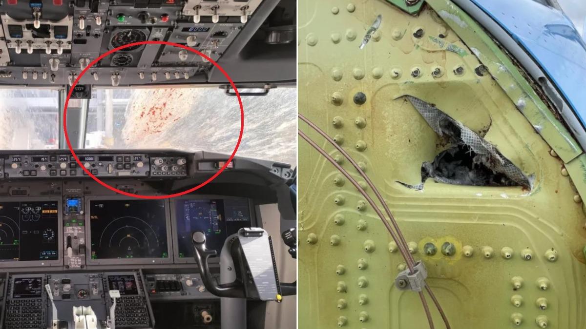鳥擊巨大的衝擊力讓擋風玻璃破碎,就連機身也出現凹陷。(圖/翻攝自The Sun)