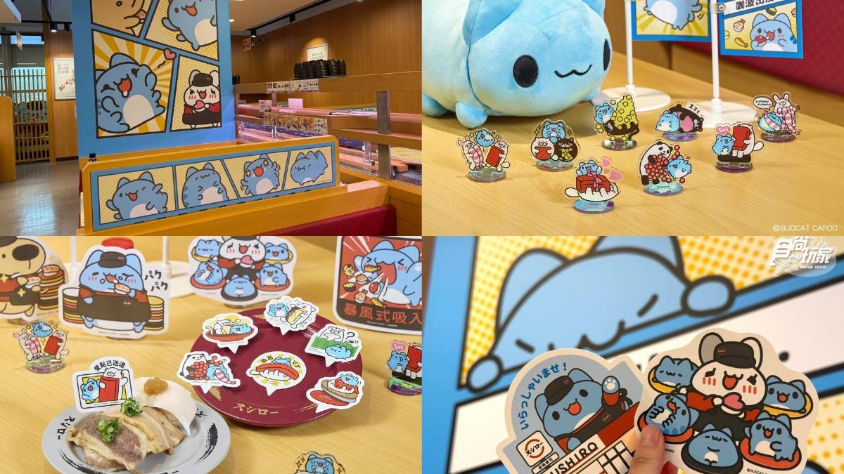 壽司郎聯名咖波!全台僅3間主題店 限定餐點、抽獎活動一次看