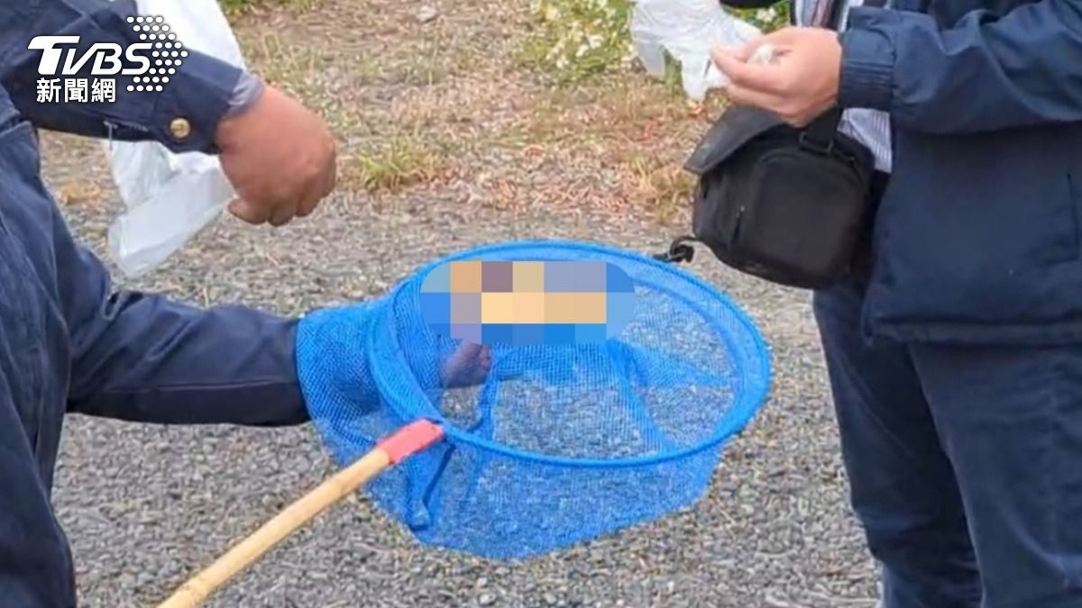 快訊/高雄殺人魔分屍3女丟河 再撈出多塊不成形屍塊、人皮