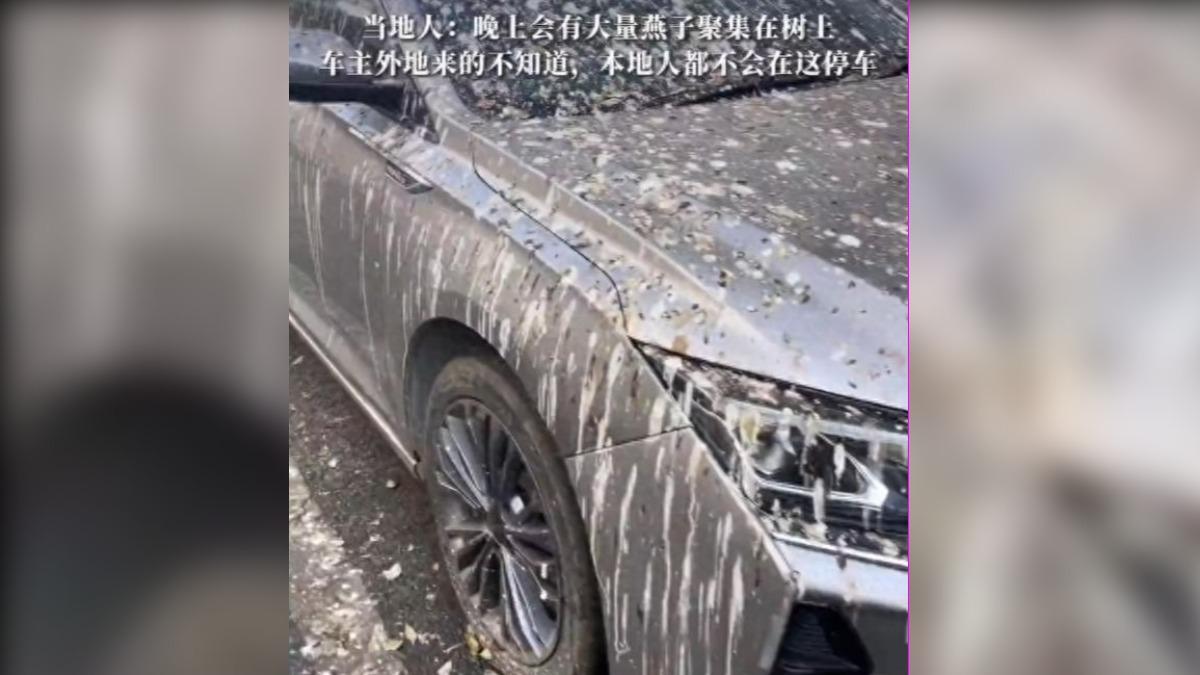 返回原處想牽車時卻直接崩潰,只見男子的愛車被淋滿鳥屎、畫面慘不忍睹。(圖/翻攝自網易網)