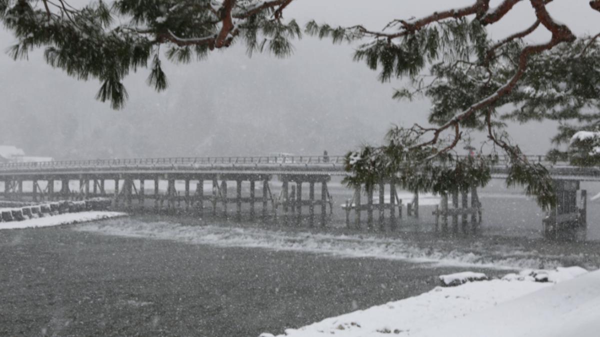 京都嵐山也被大雪籠罩。（圖／翻攝自Ｘ＠kyotoimakore）