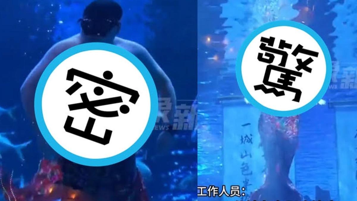 山東一間水族館出現胖大叔表演美人魚，強烈的反差讓不少觀眾傻眼。（圖／翻攝自微博）
