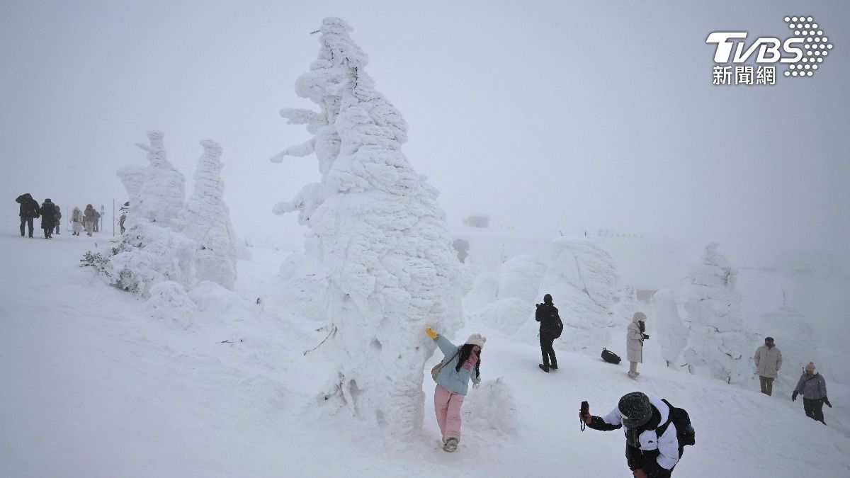 台人遊日本東北賞樹冰!不慎「陷1.5公尺雪坑」困1小時險凍死