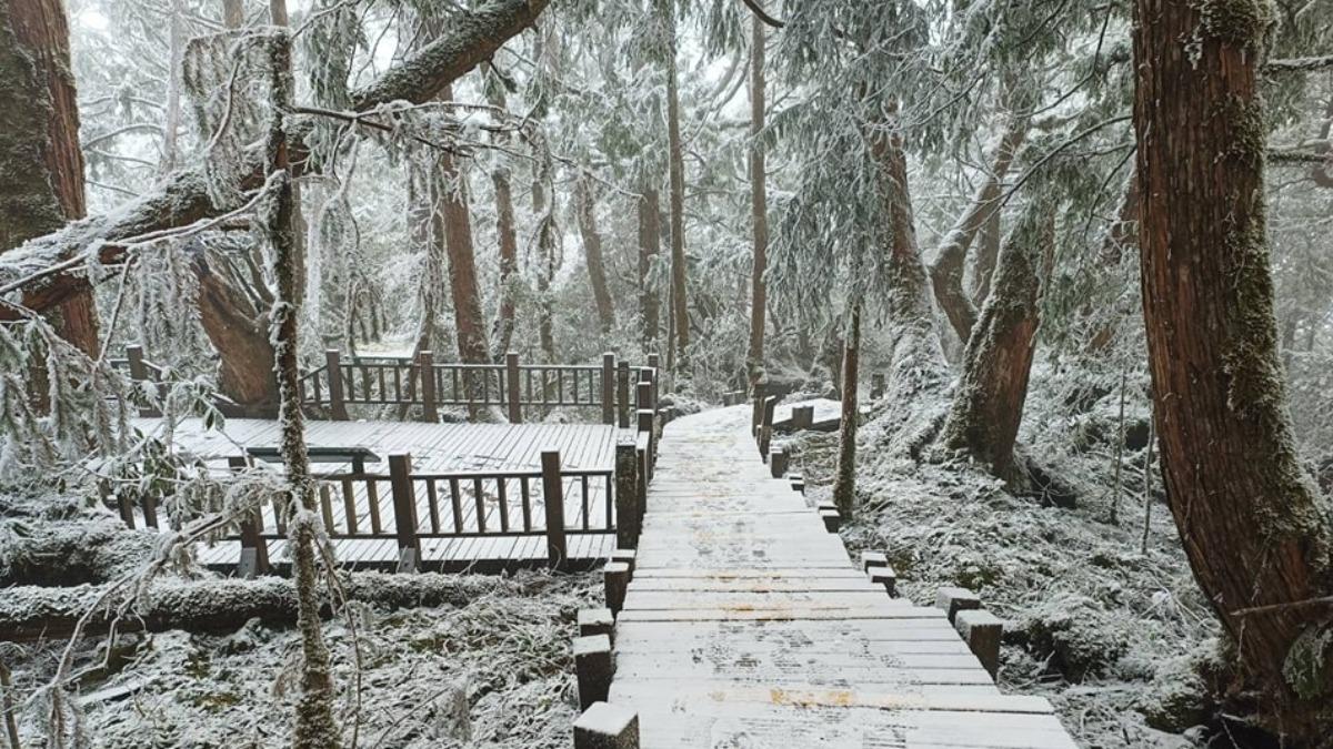 太平山冰雪美景。(圖/太平山國家森林遊樂區提供)