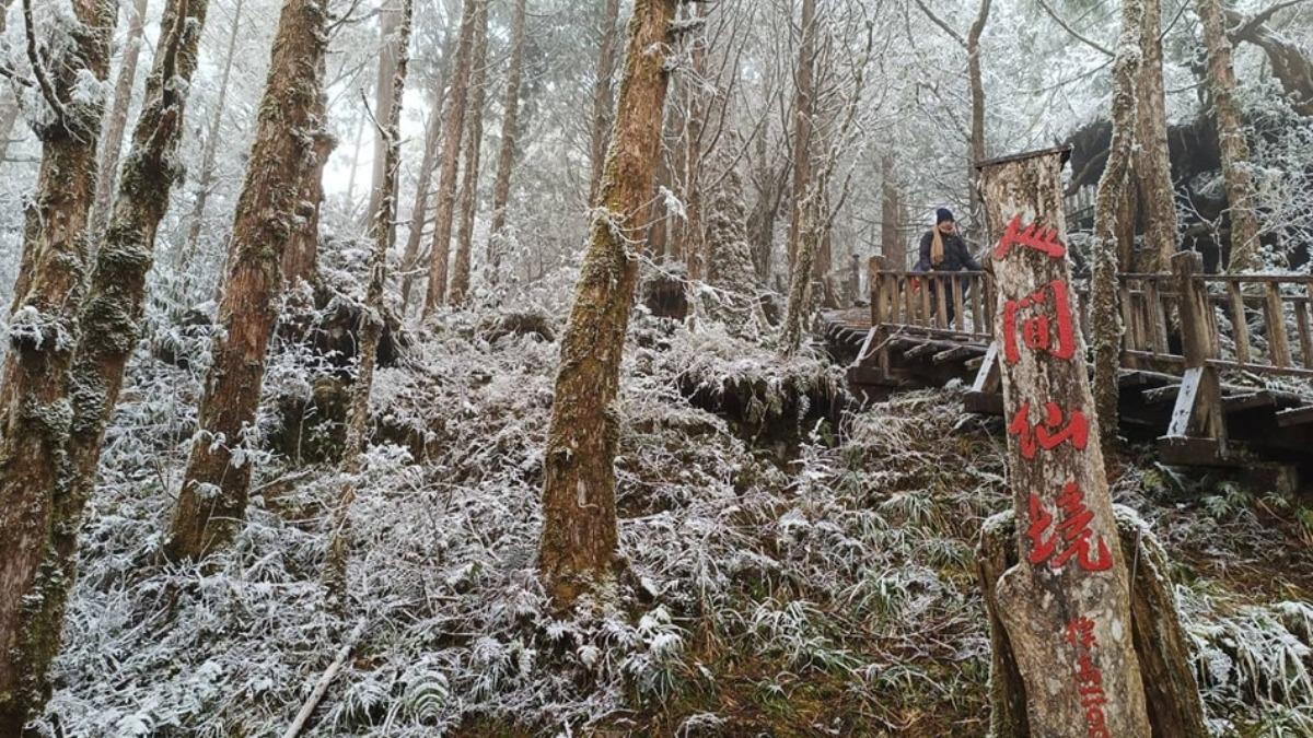 太平山冰雪美景。(圖/太平山國家森林遊樂區提供)