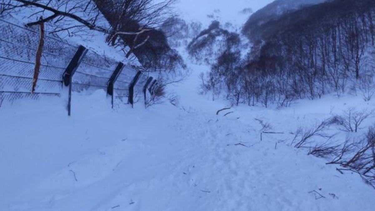 日本超級大雪釀死傷 福島雪崩「2溫泉旅館成孤島」160人受困