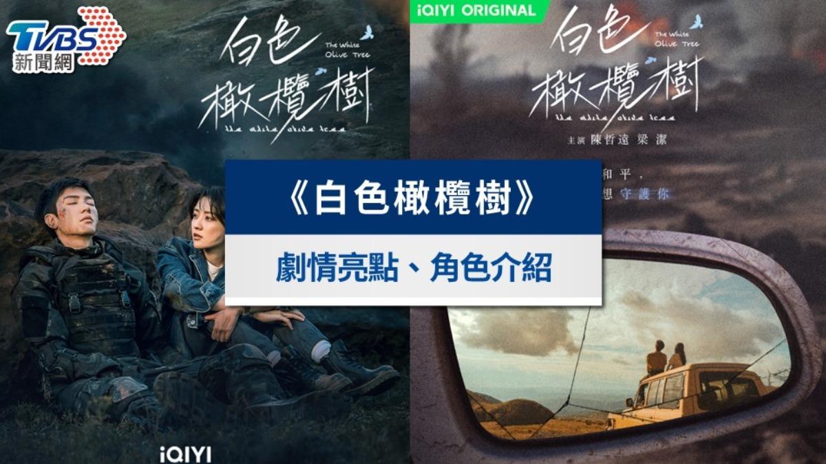 《白色橄欖樹》線上看!劇情亮點、播出時間、演員陣容一次看