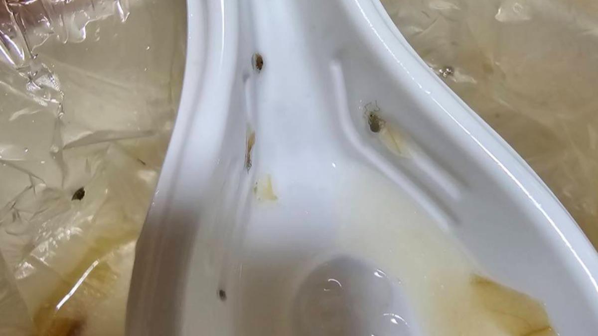 北市知名虱目魚粥爆「整碗都蟲」　餐廳道歉：配料廠商問題