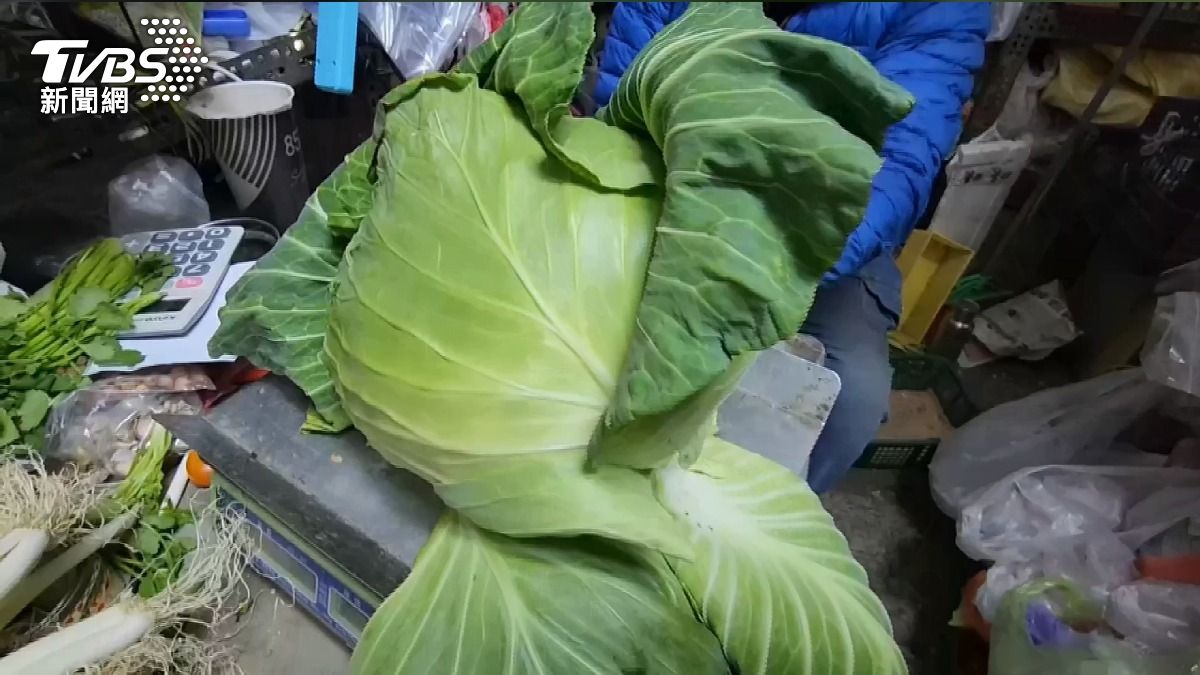 颱風走後「菜價就亂漲?」 資深菜販揭實情:一天賺不到工讀時薪