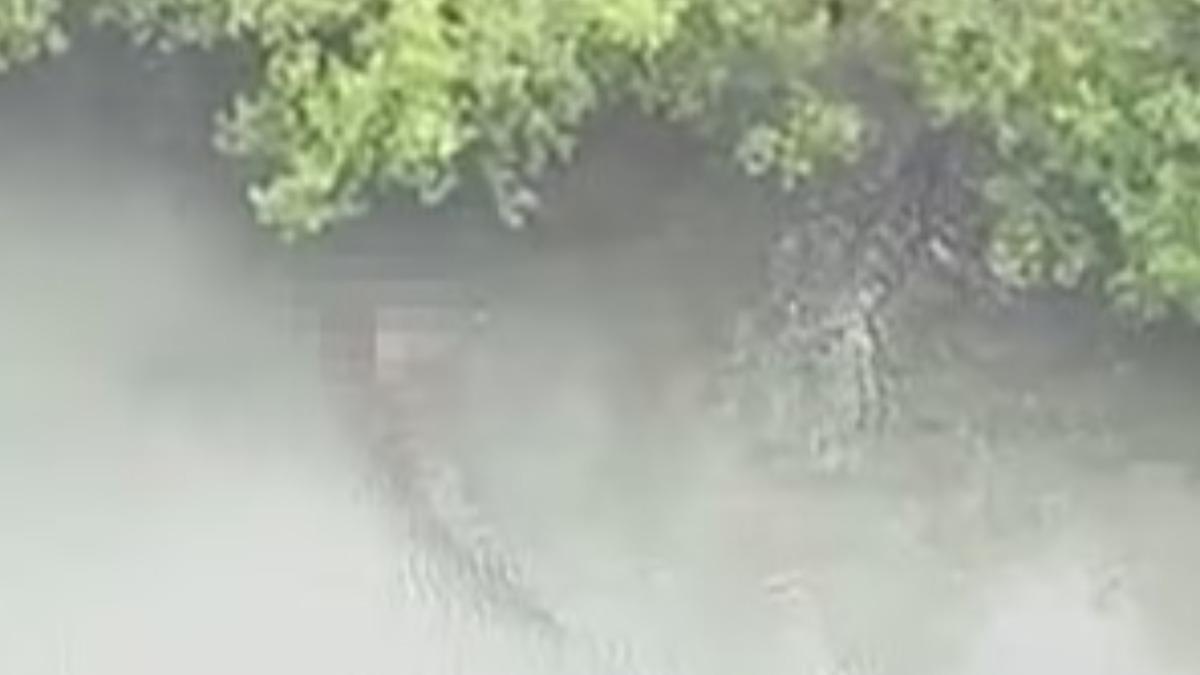 有當地民眾目擊這隻鱷魚再度浮出水面，這次嘴裡還叼著男嬰殘缺不全的遺體。（圖／翻攝自Daily Mail）