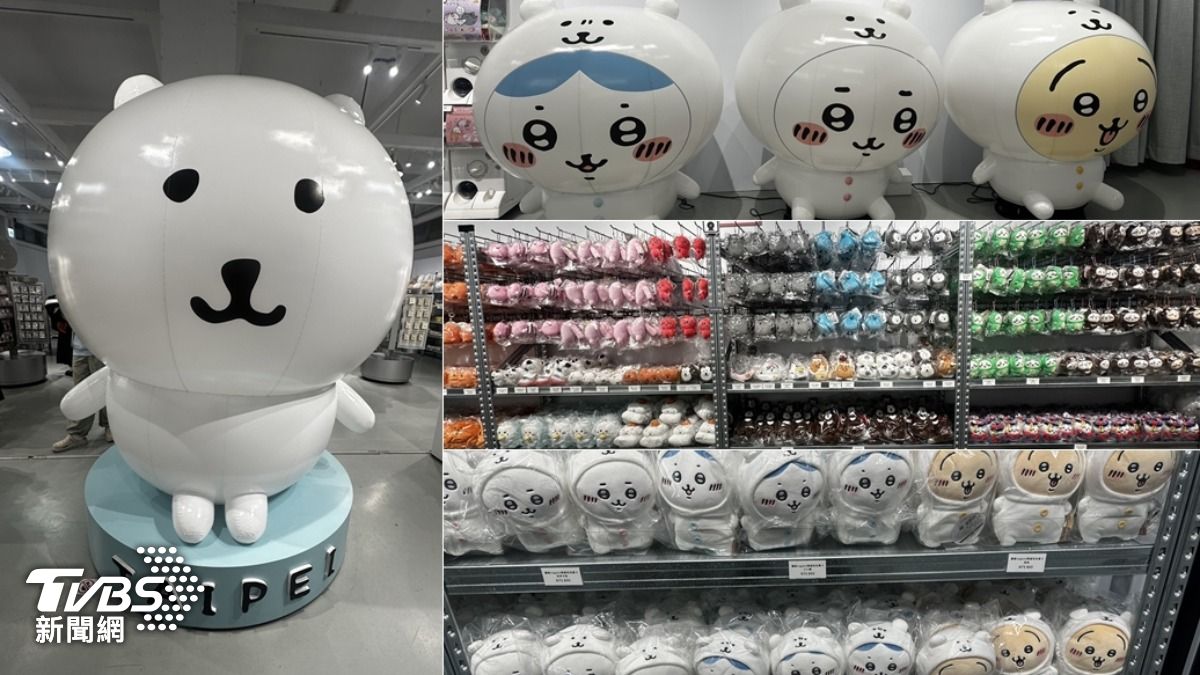 自嘲熊快閃店-自嘲熊快閃店華山-自嘲熊快閃店台北