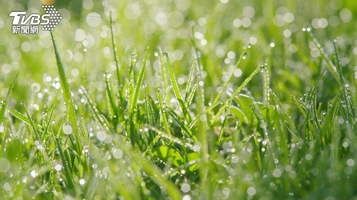 今「雨水」招好運!做1事轉運發財 命理師曝最佳吉時