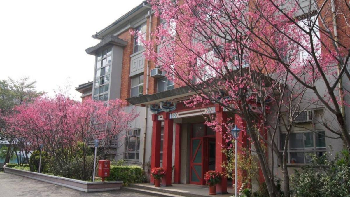 臺北基督學院校園一隅櫻花景色。(圖/臺北基督學院提供)