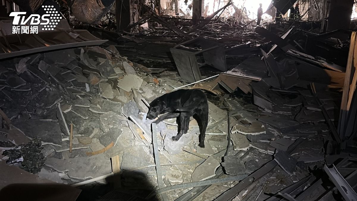 消防出動搜救犬確認現場。(圖/TVBS)