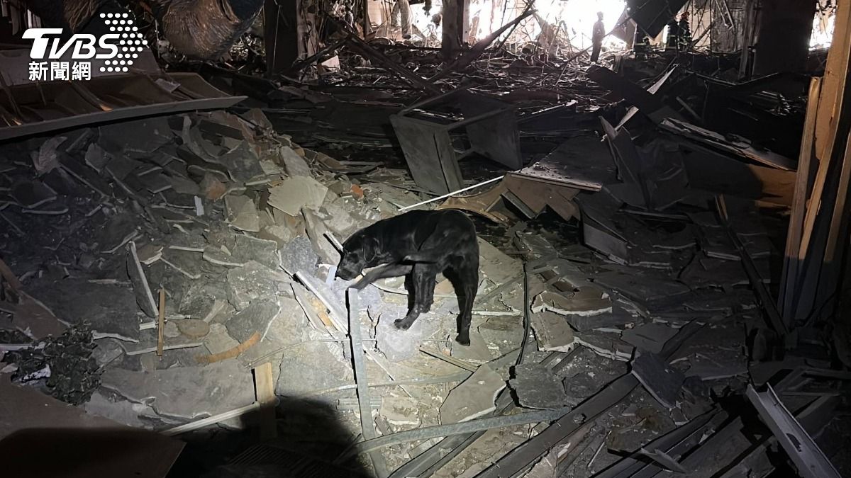 台中新光三越氣爆 特搜大隊出動搜救犬逐層搜查受困者