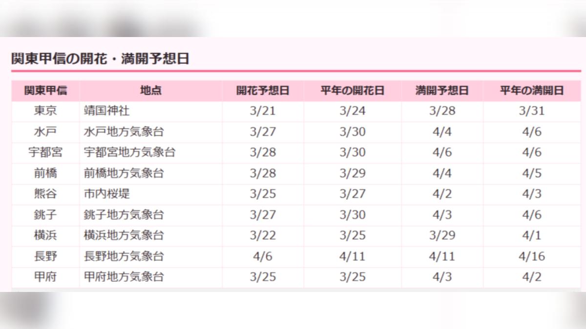 日本關東甲信地區櫻花開花最新預測。(圖/翻攝自日本Weather News)