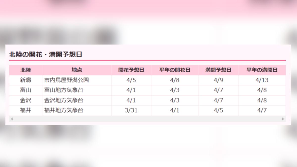 日本北陸地區櫻花開花最新預測。(圖/翻攝自日本Weather News)