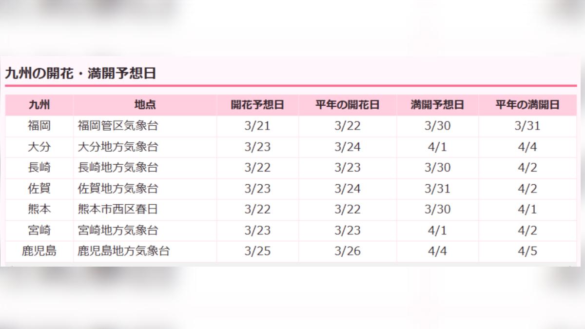 日本九州地區櫻花開花最新預測。(圖/翻攝自日本Weather News)