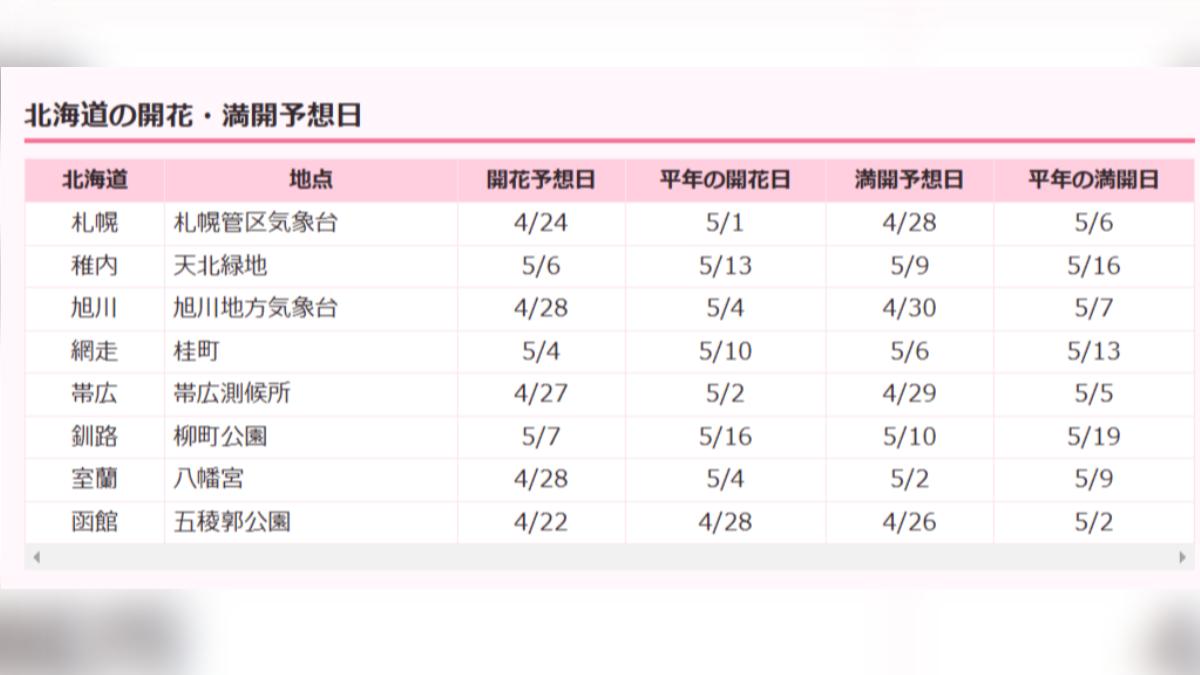 日本北海道櫻花開花最新預測。(圖/翻攝自日本Weather News)