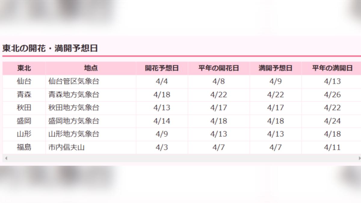 日本東北地區櫻花開花最新預測。(圖/翻攝自日本Weather News)