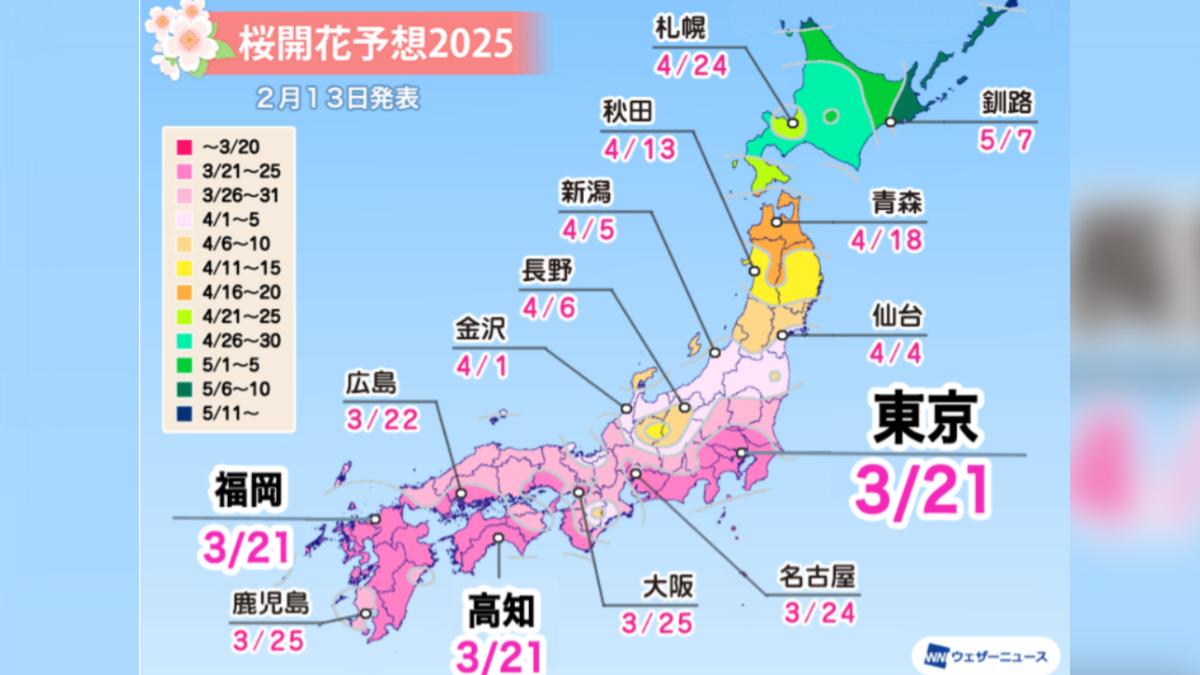 日本最新櫻花開花預測出爐。(圖/翻攝自Weather News)