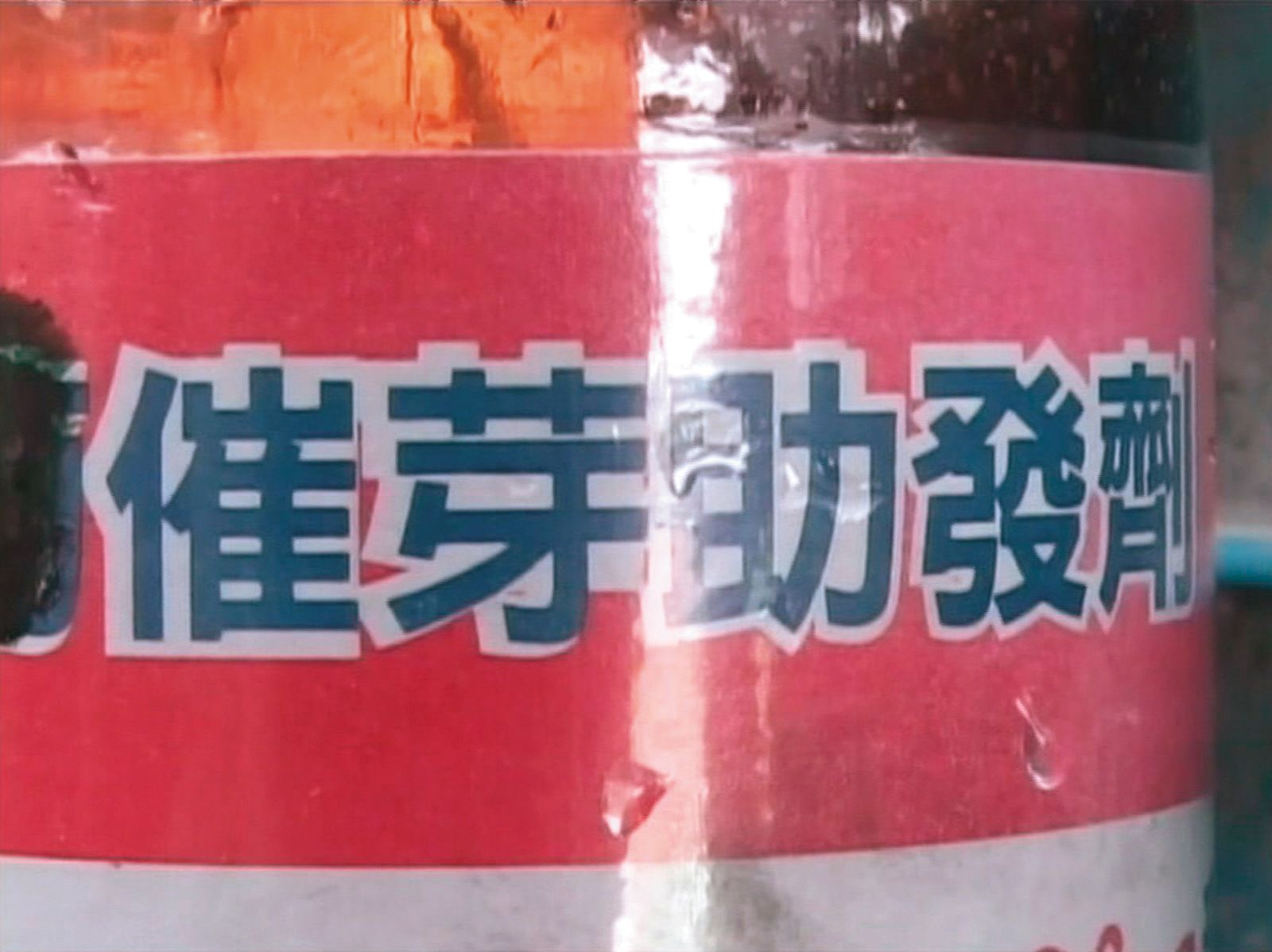 無色無味的催芽劑可加速葡萄發芽，但有劇毒。（圖／東森新聞提供）