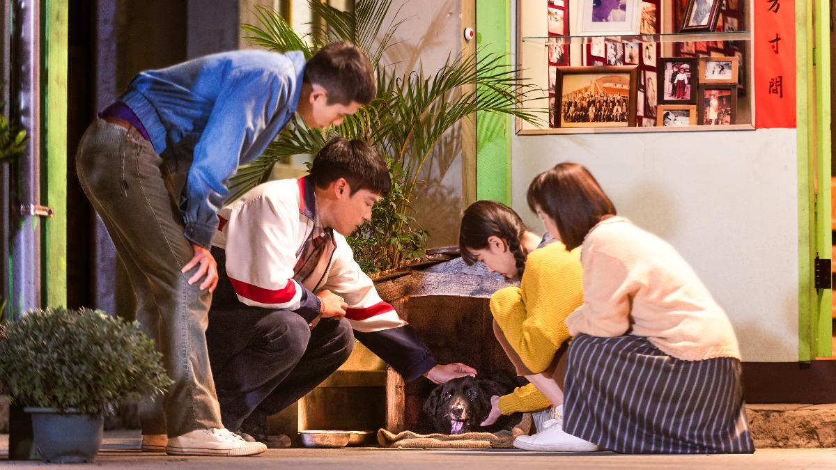 「哈魯」為了主人花了12年等待,牠的忠誠讓觀眾為之動容。(圖/華視提供)