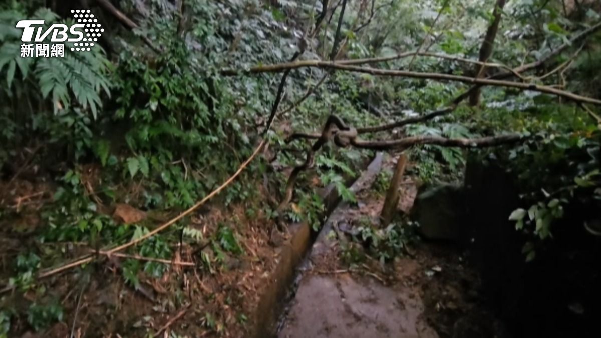 有名工人在山溝清淤泥，驚見人骨。（圖／TVBS）