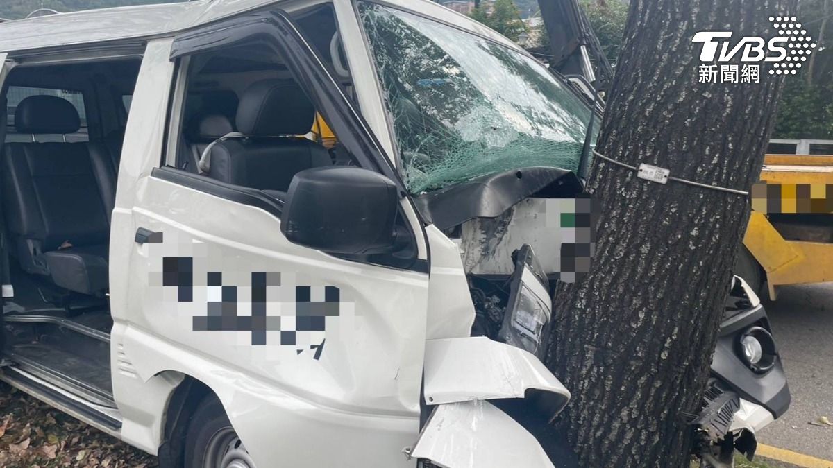 洗腎接送車撞樹，婦人多處骨折慘死，駕駛遭起訴。（圖／TVBS）