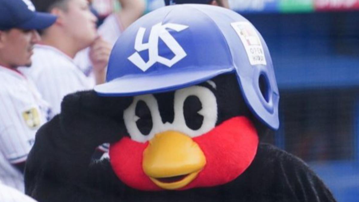 日職／養樂多吉祥物「燕九郎」內餡病逝！球團哀痛證實