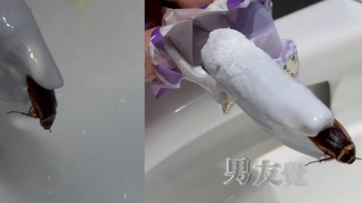 芋頭冰棒有超巨蟑螂!情侶「咬斷一條腿」崩潰 代理商、超商急回應