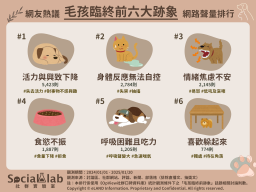 網友熱議毛孩臨終前六大跡象 網路聲量排行(圖/社群實驗室)