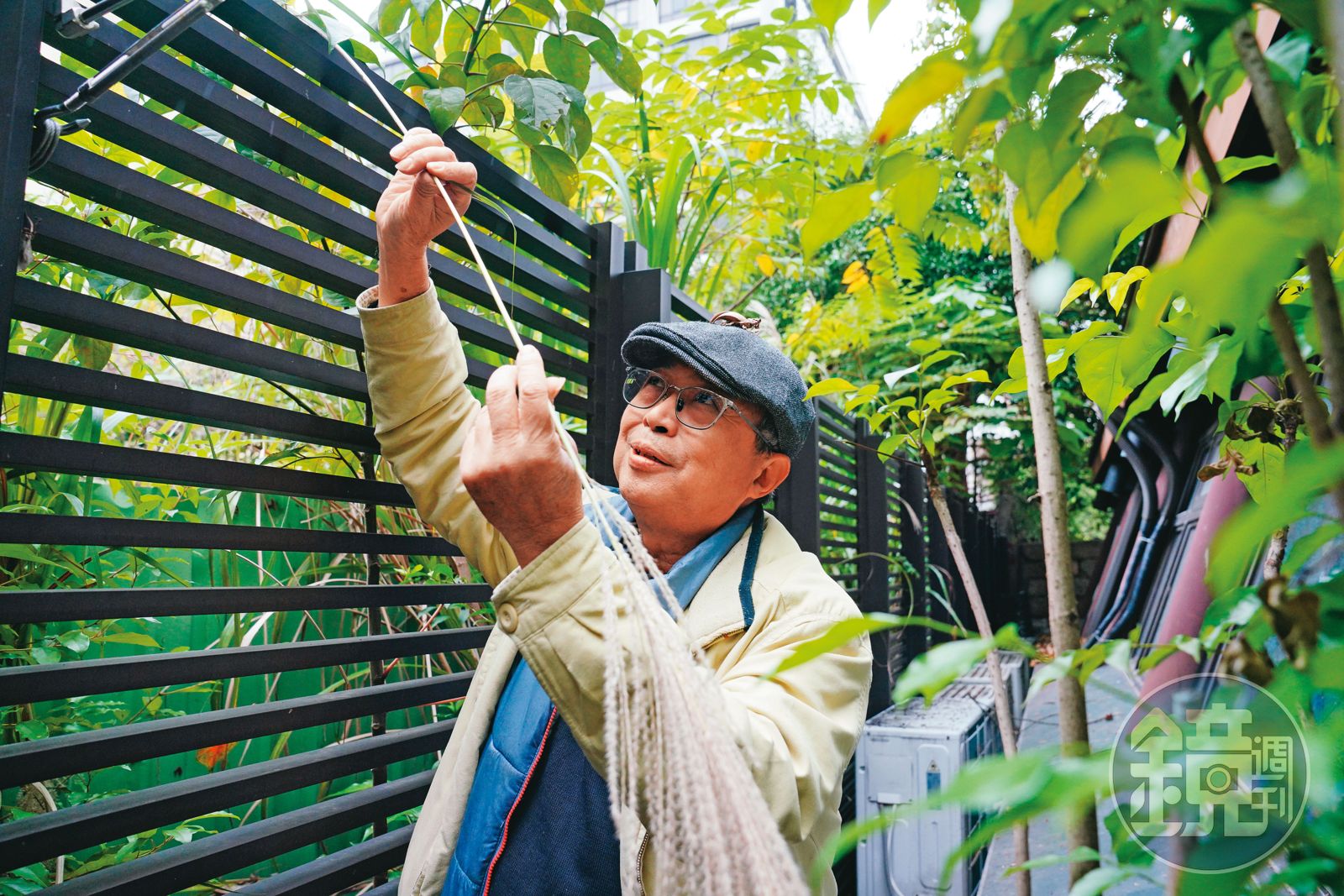芒草是林三元草編的重要原料之一,平常他會到戶外摘取。(圖/鏡週刊)