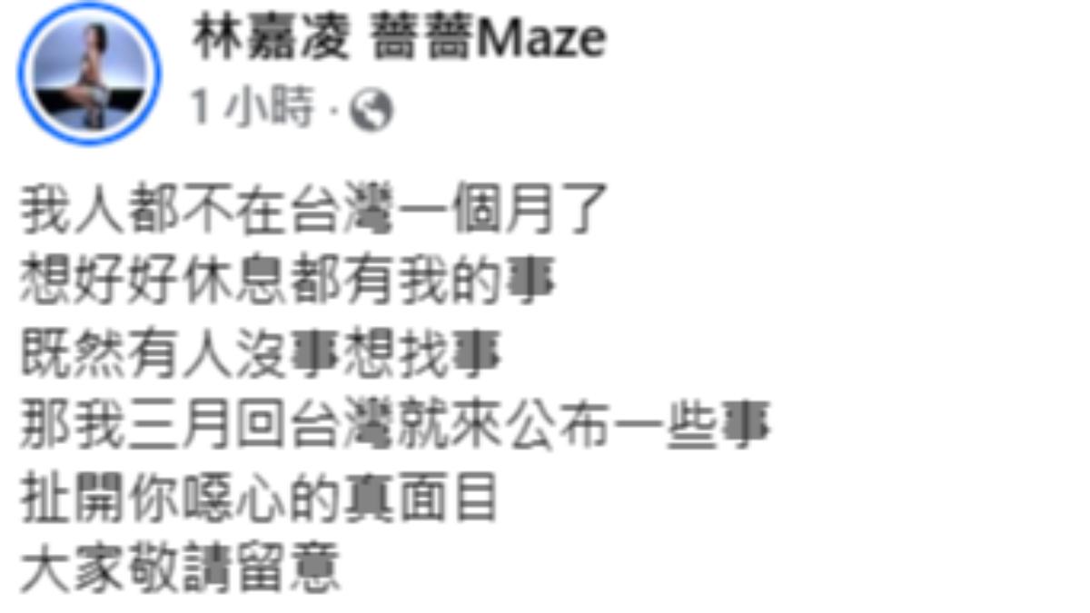 薔薔反擊。（圖／翻攝自林嘉凌薔薔臉書）