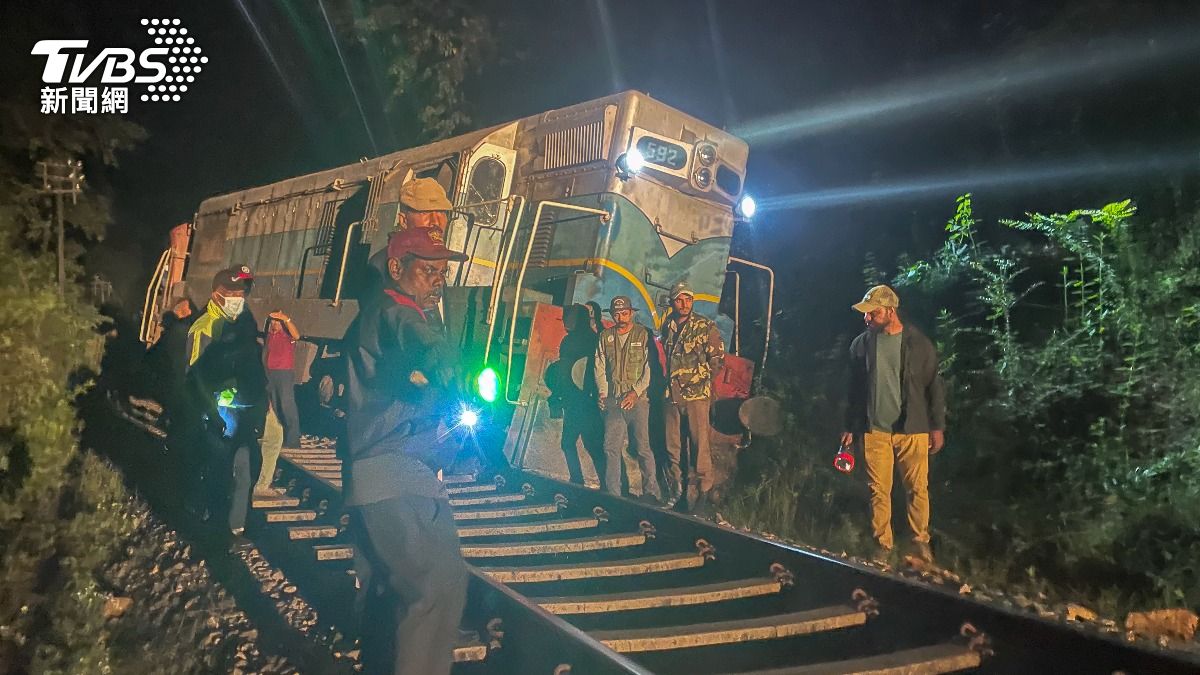 斯里蘭卡火車撞大象車廂脫軌 6象喪命成該國最嚴重野生動物意外