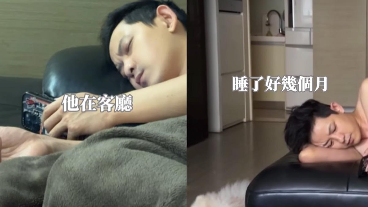 敖犬不惜睡在沙發。(圖/翻攝自piglettickle IG)