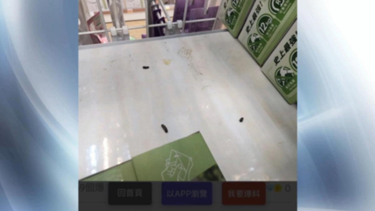 圖/翻攝自 爆料公社