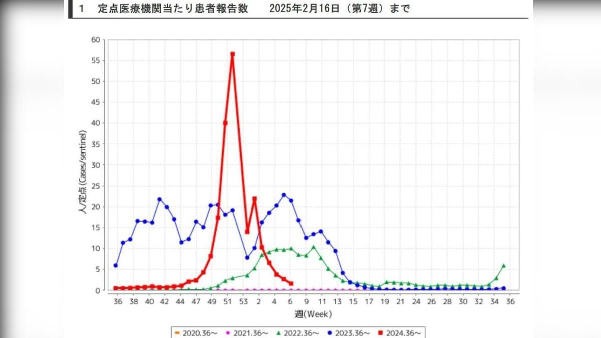 櫻花季將至!日本流感疫情趨緩 林氏璧點出「3地仍需提高警覺」